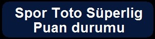 Spor Toto Süper Lig Puandurumu